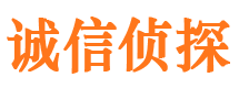 兰西市调查公司